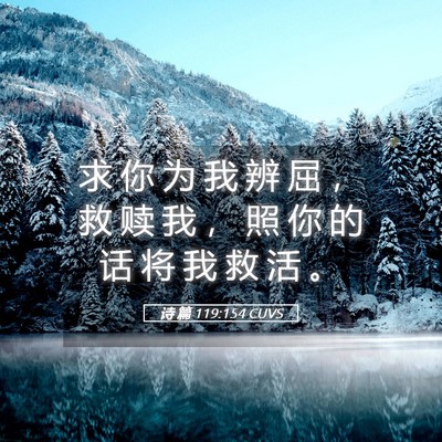 Picture 05 - 诗 篇 119:154 CUVS - 求 你 为 我 辨 屈 ， 救 赎 我 ， 照 - Bible Verse Picture