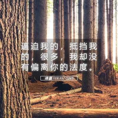 Picture 05 - 诗 篇 119:157 CUVS - 逼 迫 我 的 ， 抵 挡 我 的 ， 很 多 - Bible Verse Picture