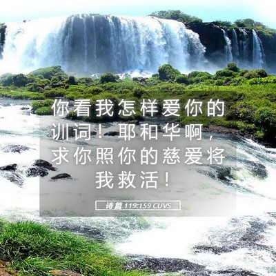 Picture 05 - 诗 篇 119:159 CUVS - 你 看 我 怎 样 爱 你 的 训 词 ！ 耶 - Bible Verse Picture