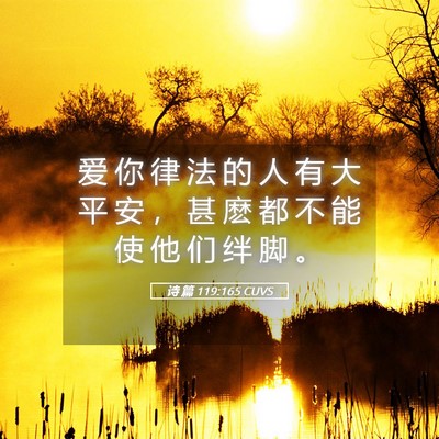 Picture 05 - 诗 篇 119:165 CUVS - 爱 你 律 法 的 人 有 大 平 安 ， 甚 - Bible Verse Picture