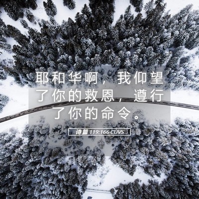 Picture 05 - 诗 篇 119:166 CUVS - 耶 和 华 啊 ， 我 仰 望 了 你 的 救 - Bible Verse Picture