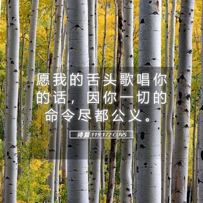 Picture 05 - 诗 篇 119:172 CUVS - 愿 我 的 舌 头 歌 唱 你 的 话 ， 因 - Bible Verse Picture