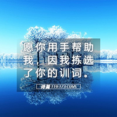 Picture 05 - 诗 篇 119:173 CUVS - 愿 你 用 手 帮 助 我 ， 因 我 拣 选 - Bible Verse Picture