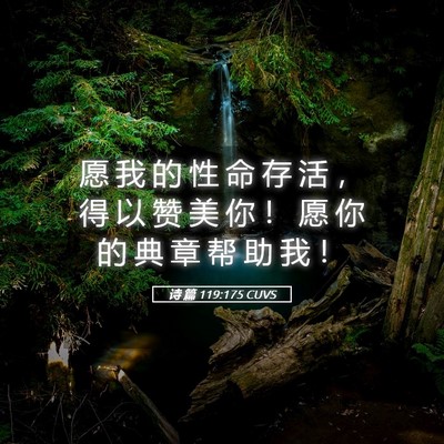 Picture 05 - 诗 篇 119:175 CUVS - 愿 我 的 性 命 存 活 ， 得 以 赞 美 - Bible Verse Picture