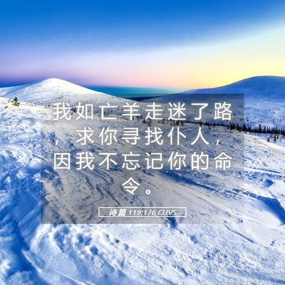 Picture 05 - 诗 篇 119:176 CUVS - 我 如 亡 羊 走 迷 了 路 ， 求 你 寻 - Bible Verse Picture