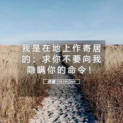 Picture 05 - 诗 篇 119:19 CUVS - 我 是 在 地 上 作 寄 居 的 ； 求 你 - Bible Verse Picture