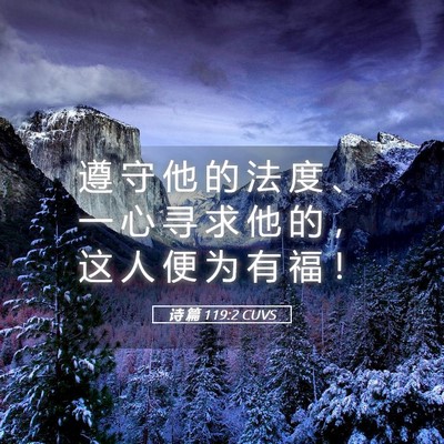 Picture 05 - 诗 篇 119:2 CUVS - 遵 守 他 的 法 度 、 一 心 寻 求 他 - Bible Verse Picture