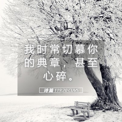 Picture 05 - 诗 篇 119:20 CUVS - 我 时 常 切 慕 你 的 典 章 ， 甚 至 - Bible Verse Picture