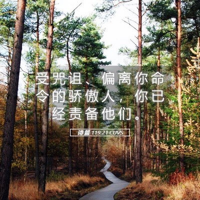 Picture 05 - 诗 篇 119:21 CUVS - 受 咒 诅 、 偏 离 你 命 令 的 骄 傲 - Bible Verse Picture
