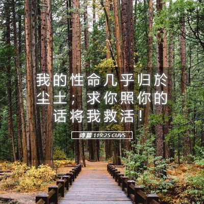 Picture 05 - 诗 篇 119:25 CUVS - 我 的 性 命 几 乎 归 於 尘 土 ； 求 - Bible Verse Picture