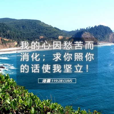 Picture 05 - 诗 篇 119:28 CUVS - 我 的 心 因 愁 苦 而 消 化 ； 求 你 - Bible Verse Picture