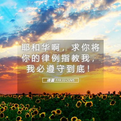 Picture 05 - 诗 篇 119:33 CUVS - 耶 和 华 啊 ， 求 你 将 你 的 律 例 - Bible Verse Picture