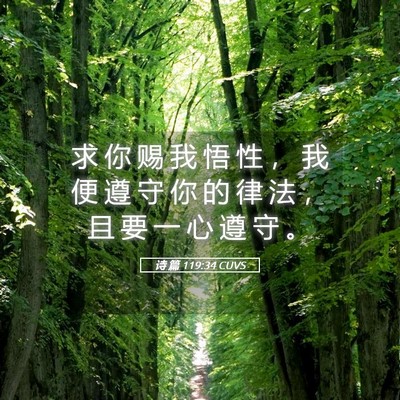 Picture 05 - 诗 篇 119:34 CUVS - 求 你 赐 我 悟 性 ， 我 便 遵 守 你 - Bible Verse Picture
