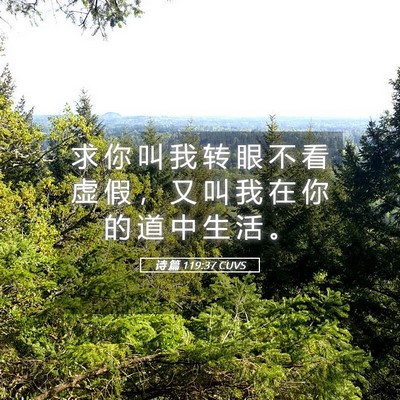 Picture 05 - 诗 篇 119:37 CUVS - 求 你 叫 我 转 眼 不 看 虚 假 ， 又 - Bible Verse Picture
