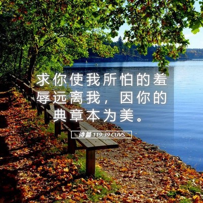 Picture 05 - 诗 篇 119:39 CUVS - 求 你 使 我 所 怕 的 羞 辱 远 离 我 - Bible Verse Picture