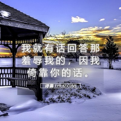 Picture 05 - 诗 篇 119:42 CUVS - 我 就 有 话 回 答 那 羞 辱 我 的 ， - Bible Verse Picture