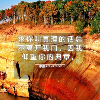 Picture 05 - 诗 篇 119:43 CUVS - 求 你 叫 真 理 的 话 总 不 离 开 我 - Bible Verse Picture