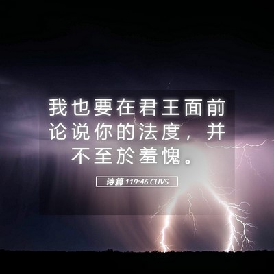 Picture 05 - 诗 篇 119:46 CUVS - 我 也 要 在 君 王 面 前 论 说 你 的 - Bible Verse Picture