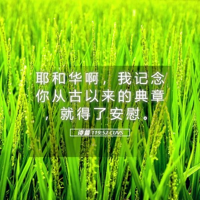 Picture 05 - 诗 篇 119:52 CUVS - 耶 和 华 啊 ， 我 记 念 你 从 古 以 - Bible Verse Picture