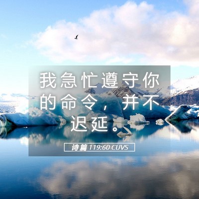 Picture 05 - 诗 篇 119:60 CUVS - 我 急 忙 遵 守 你 的 命 令 ， 并 不 - Bible Verse Picture