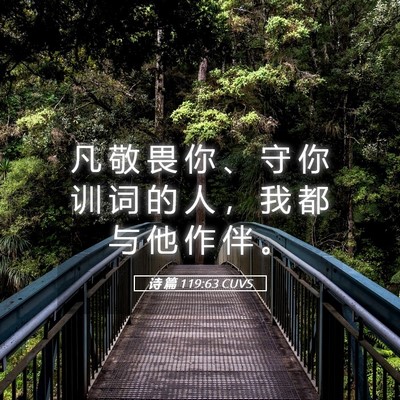 Picture 05 - 诗 篇 119:63 CUVS - 凡 敬 畏 你 、 守 你 训 词 的 人 ， - Bible Verse Picture