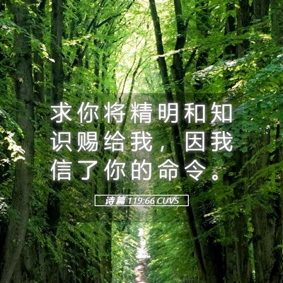 Picture 05 - 诗 篇 119:66 CUVS - 求 你 将 精 明 和 知 识 赐 给 我 ， - Bible Verse Picture