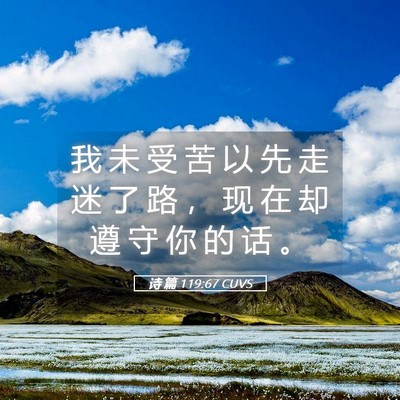 Picture 05 - 诗 篇 119:67 CUVS - 我 未 受 苦 以 先 走 迷 了 路 ， 现 - Bible Verse Picture