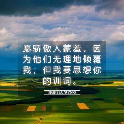 Picture 05 - 诗 篇 119:78 CUVS - 愿 骄 傲 人 蒙 羞 ， 因 为 他 们 无 - Bible Verse Picture
