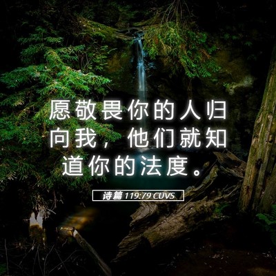 Picture 05 - 诗 篇 119:79 CUVS - 愿 敬 畏 你 的 人 归 向 我 ， 他 们 - Bible Verse Picture