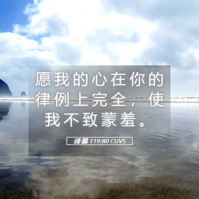 Picture 05 - 诗 篇 119:80 CUVS - 愿 我 的 心 在 你 的 律 例 上 完 全 - Bible Verse Picture