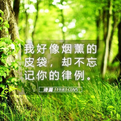 Picture 05 - 诗 篇 119:83 CUVS - 我 好 像 烟 薰 的 皮 袋 ， 却 不 忘 - Bible Verse Picture