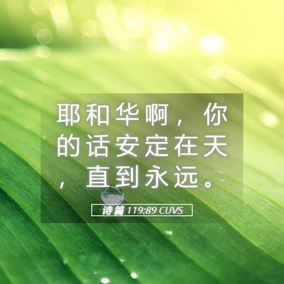Picture 05 - 诗 篇 119:89 CUVS - 耶 和 华 啊 ， 你 的 话 安 定 在 天 - Bible Verse Picture