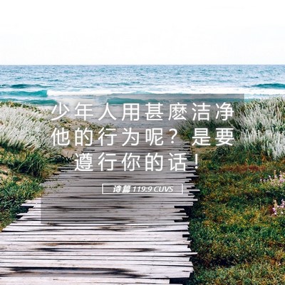 Picture 05 - 诗 篇 119:9 CUVS - 少 年 人 用 甚 麽 洁 净 他 的 行 为 - Bible Verse Picture