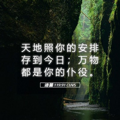 Picture 05 - 诗 篇 119:91 CUVS - 天 地 照 你 的 安 排 存 到 今 日 ； - Bible Verse Picture