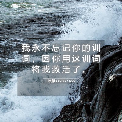 Picture 05 - 诗 篇 119:93 CUVS - 我 永 不 忘 记 你 的 训 词 ， 因 你 - Bible Verse Picture
