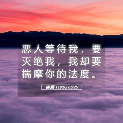Picture 05 - 诗 篇 119:95 CUVS - 恶 人 等 待 我 ， 要 灭 绝 我 ， 我 - Bible Verse Picture