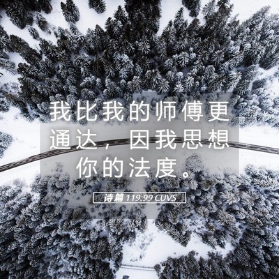 Picture 05 - 诗 篇 119:99 CUVS - 我 比 我 的 师 傅 更 通 达 ， 因 我 - Bible Verse Picture
