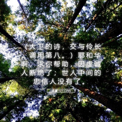 Picture 05 - 诗 篇 12:1 CUVS - （ 大 卫 的 诗 ， 交 与 伶 长 。 调 - Bible Verse Picture
