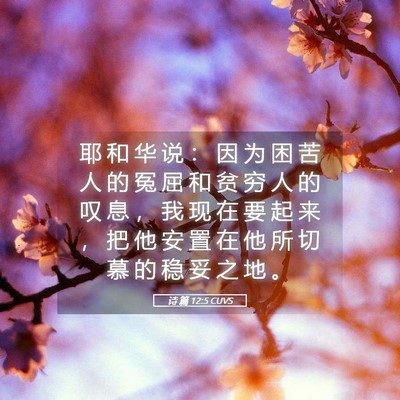 Picture 05 - 诗 篇 12:5 CUVS - 耶 和 华 说 ： 因 为 困 苦 人 的 冤 - Bible Verse Picture