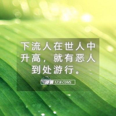 Picture 05 - 诗 篇 12:8 CUVS - 下 流 人 在 世 人 中 升 高 ， 就 有 - Bible Verse Picture