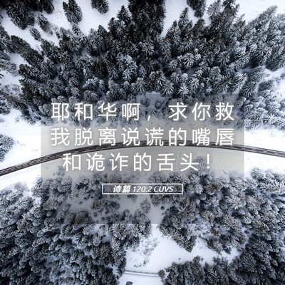 Picture 05 - 诗 篇 120:2 CUVS - 耶 和 华 啊 ， 求 你 救 我 脱 离 说 - Bible Verse Picture