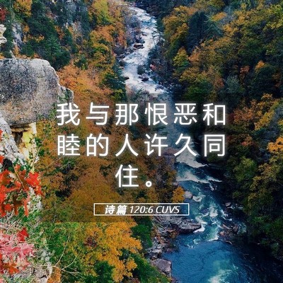 Picture 05 - 诗 篇 120:6 CUVS - 我 与 那 恨 恶 和 睦 的 人 许 久 同 - Bible Verse Picture