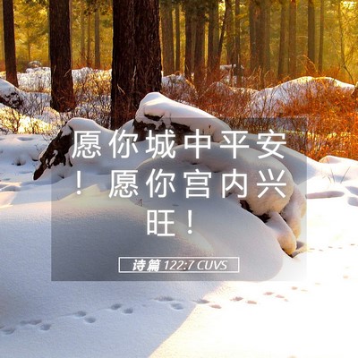 Picture 05 - 诗 篇 122:7 CUVS - 愿 你 城 中 平 安 ！ 愿 你 宫 内 兴 - Bible Verse Picture