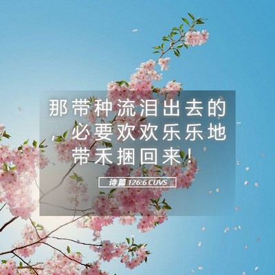 Picture 05 - 诗 篇 126:6 CUVS - 那 带 种 流 泪 出 去 的 ， 必 要 欢 - Bible Verse Picture