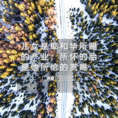 Picture 05 - 诗 篇 127:3 CUVS - 儿 女 是 耶 和 华 所 赐 的 产 业 ； - Bible Verse Picture