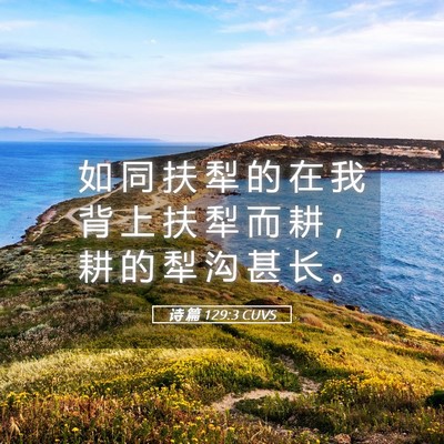 Picture 05 - 诗 篇 129:3 CUVS - 如 同 扶 犁 的 在 我 背 上 扶 犁 而 - Bible Verse Picture