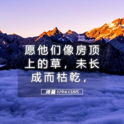 Picture 05 - 诗 篇 129:6 CUVS - 愿 他 们 像 房 顶 上 的 草 ， 未 长 - Bible Verse Picture