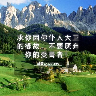 Picture 05 - 诗 篇 132:10 CUVS - 求 你 因 你 仆 人 大 卫 的 缘 故 ， - Bible Verse Picture