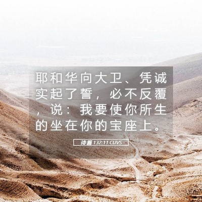 Picture 05 - 诗 篇 132:11 CUVS - 耶 和 华 向 大 卫 、 凭 诚 实 起 了 - Bible Verse Picture