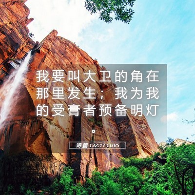 Picture 05 - 诗 篇 132:17 CUVS - 我 要 叫 大 卫 的 角 在 那 里 发 生 - Bible Verse Picture